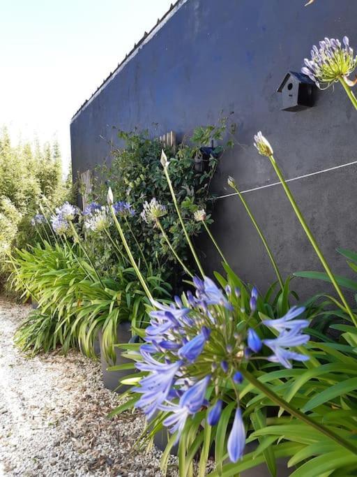 Logement 80 M2 Avec Terrasses Entre Les Deux Abers Landéda Exteriér fotografie